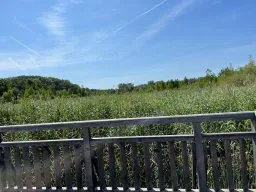 FUN in der Lobau (24)